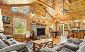 Smart TV, fireplace, ping pong, books