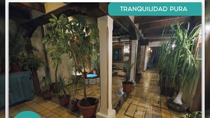 Une cour paisible, agrémentée de plantes en pot et dotée d’un sol carrelé, se trouve à l’hôtel El Zaguán Histórico.