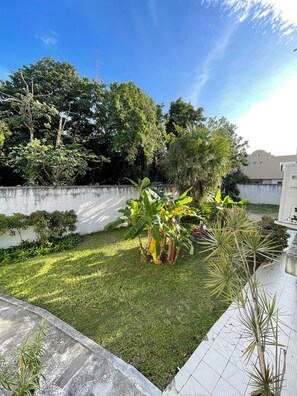 Terrace/patio - Hotel Dos Mundos, Isla Cozumel (Cozumel)