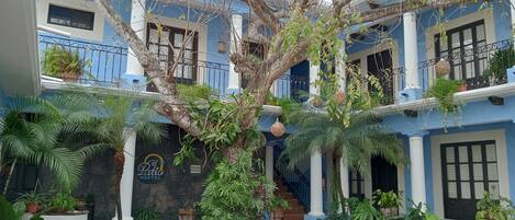 Un patio con un árbol, plantas en macetas y un cartel que dice 'Patio Hostel'.