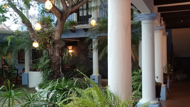 Un patio interior con un árbol grande, columnas y plantas en macetas.