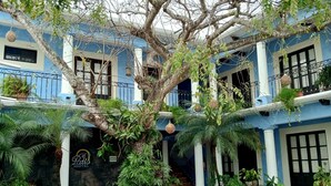 Un patio con un árbol grande, plantas en macetas y un letrero que dice "Latto Hostal".