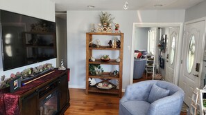 TV connectée, cheminée, lecteur de DVD, livres
