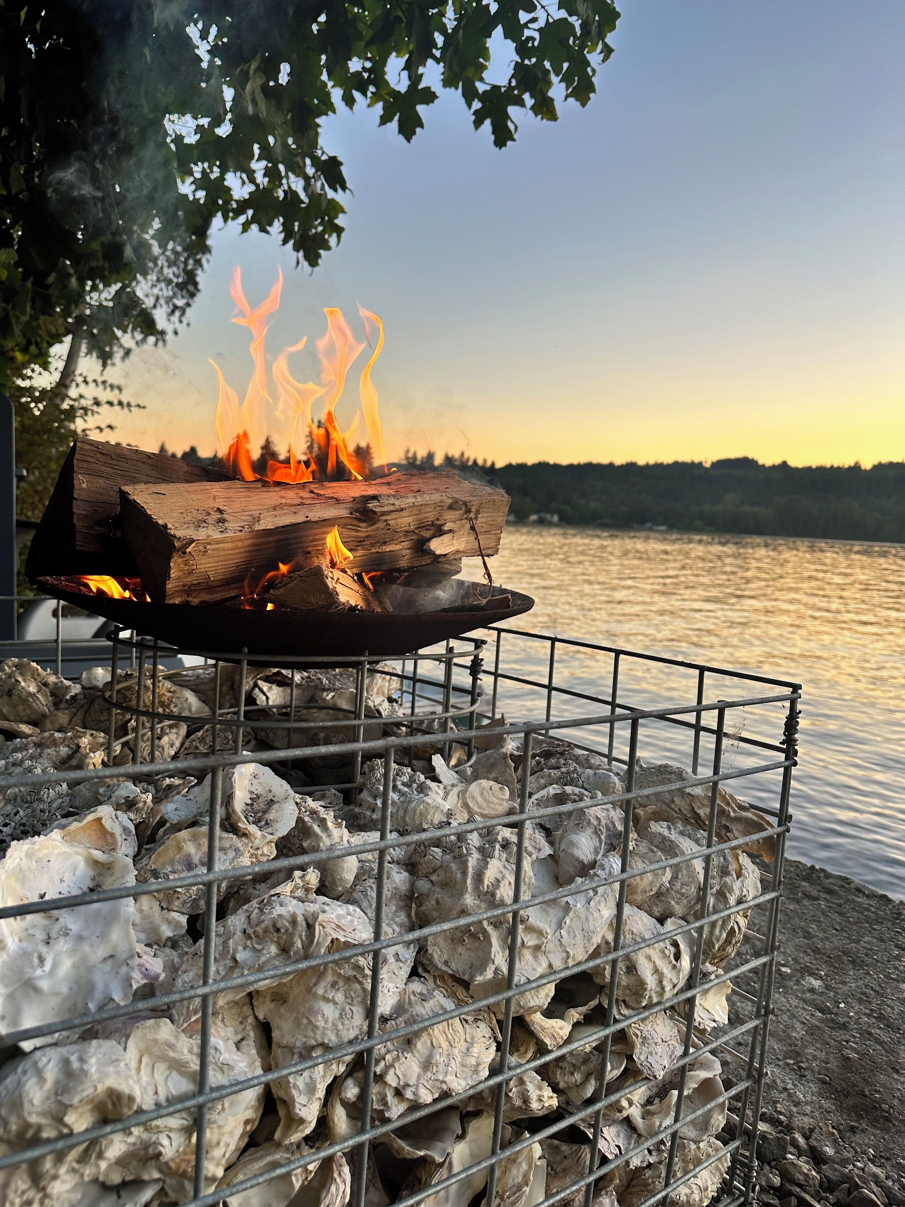 A campfire with logs and shells, set against a lake and trees.