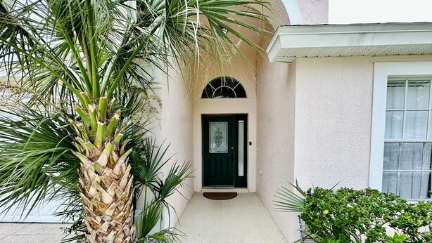 A building entrance with a palm tree, a door, and a window.