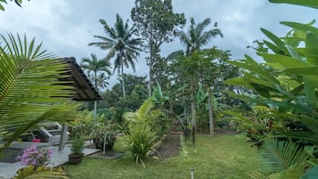 A lush garden with palm trees, a gazebo, and a variety of tropical plants.