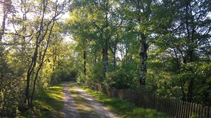 Botón de imagen sin clasificar, 3 de 11