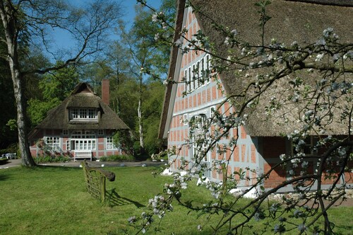 Atelier 1 - Atelierhaus Tannenweg