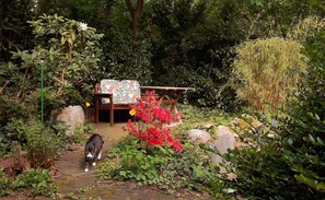 星評価なしの画像、5 / 18、ボタン