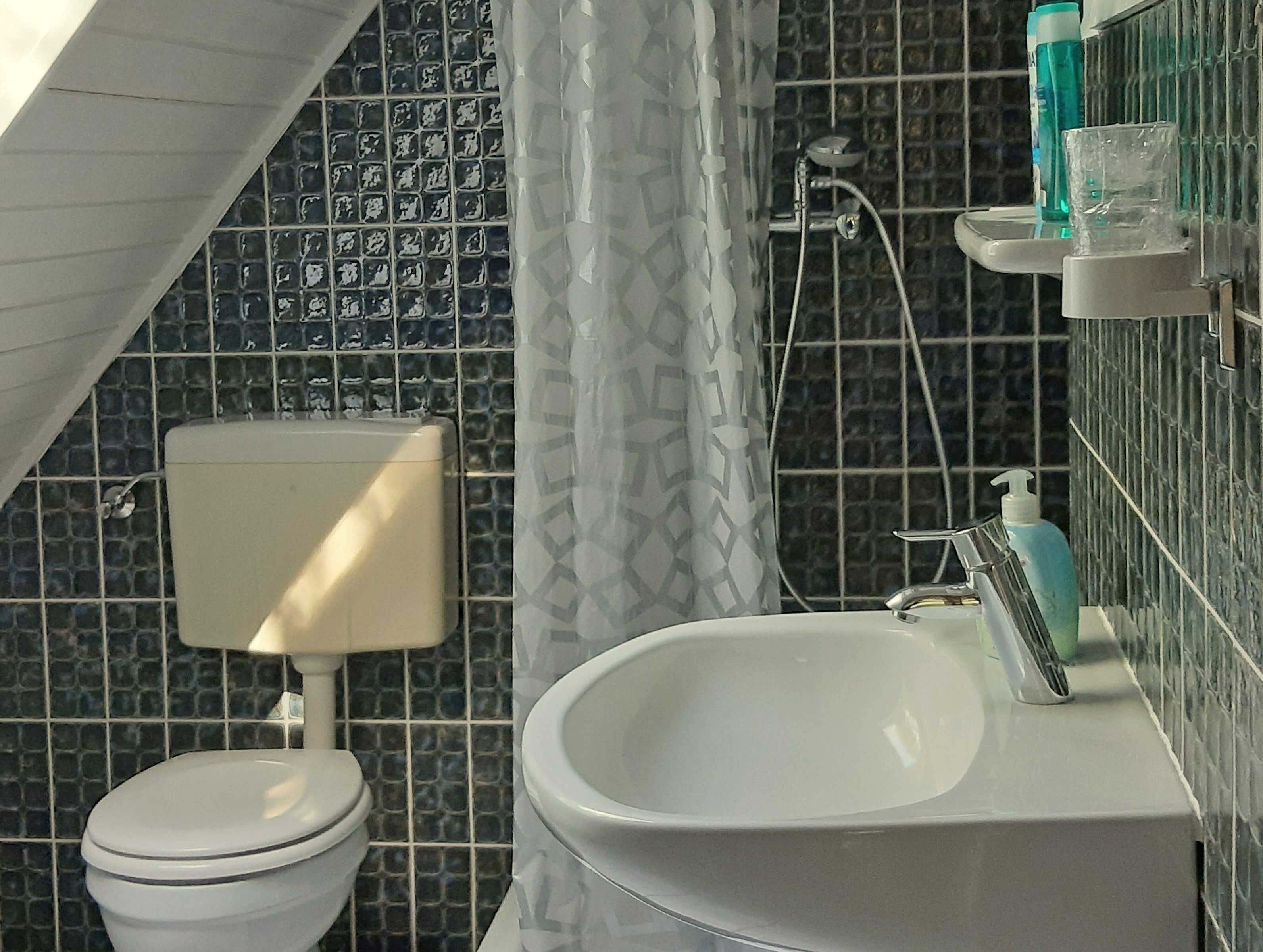 Un baño con inodoro, lavabo y ducha.