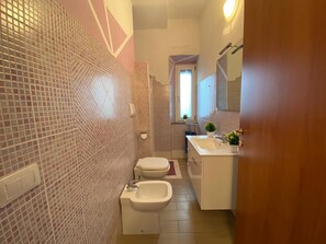 Shower, hair dryer, bidet, towels