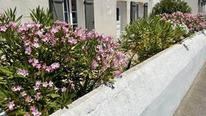 A building with a concrete retaining wall and pink flowering plants.