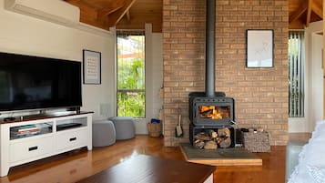 Smart TV, fireplace, DVD player, books