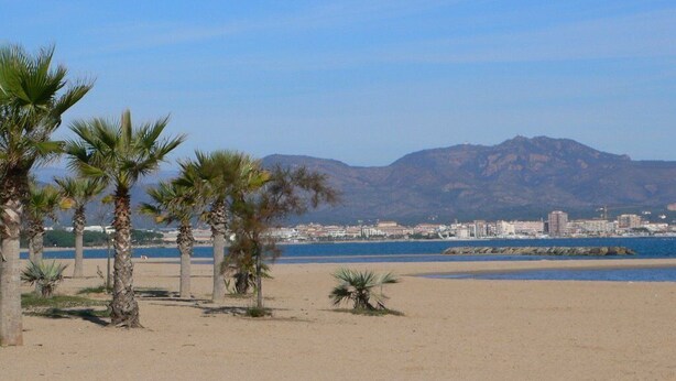 Una playa con palmeras y una montaña al fondo.