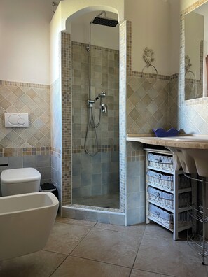 Shower, hair dryer, bidet, towels
