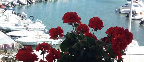 Marina/club náutico