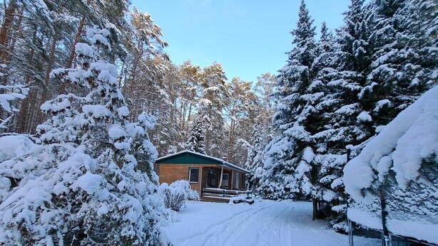 Exterior - Ferienhaus Waldoase für 2 - 3 Personen, Freistehend auf Eingezäuntem Grundstück (Beelitz)