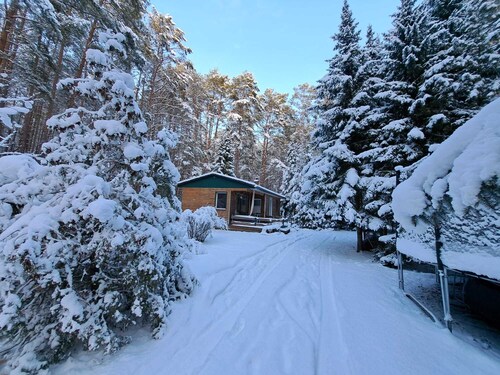Ferienhaus Waldoase  für 2 - 3 Personen, freistehend auf eingezäuntem Grundstück