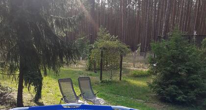Ferienhaus Waldoase fĂŒr 2 - 3 Personen, Freistehend auf EingezĂ€untem GrundstĂŒck