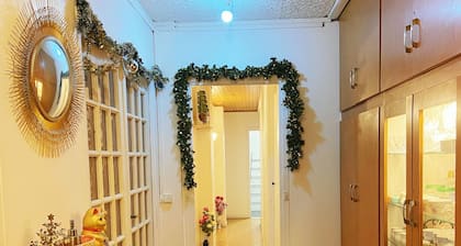 Grand appartement plein centre ville 10 minuits de Notre Dame de Paris