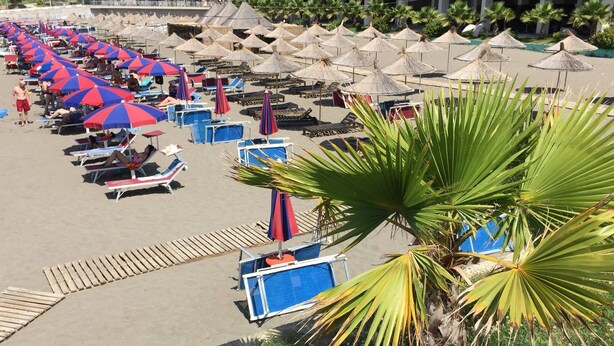 A beach with rows of sun loungers and umbrellas, palm trees, and a building in the background. - Ambassador Resort (Shengjin)