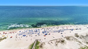 Une plage bordée de rangées de parasols et de chaises longues, un rivage sablonneux et l’océan.