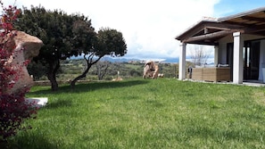 Área da propriedade