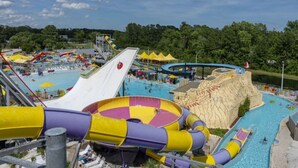 Un parc aquatique doté de nombreux toboggans et de plusieurs piscines, le tout entouré d’arbres.