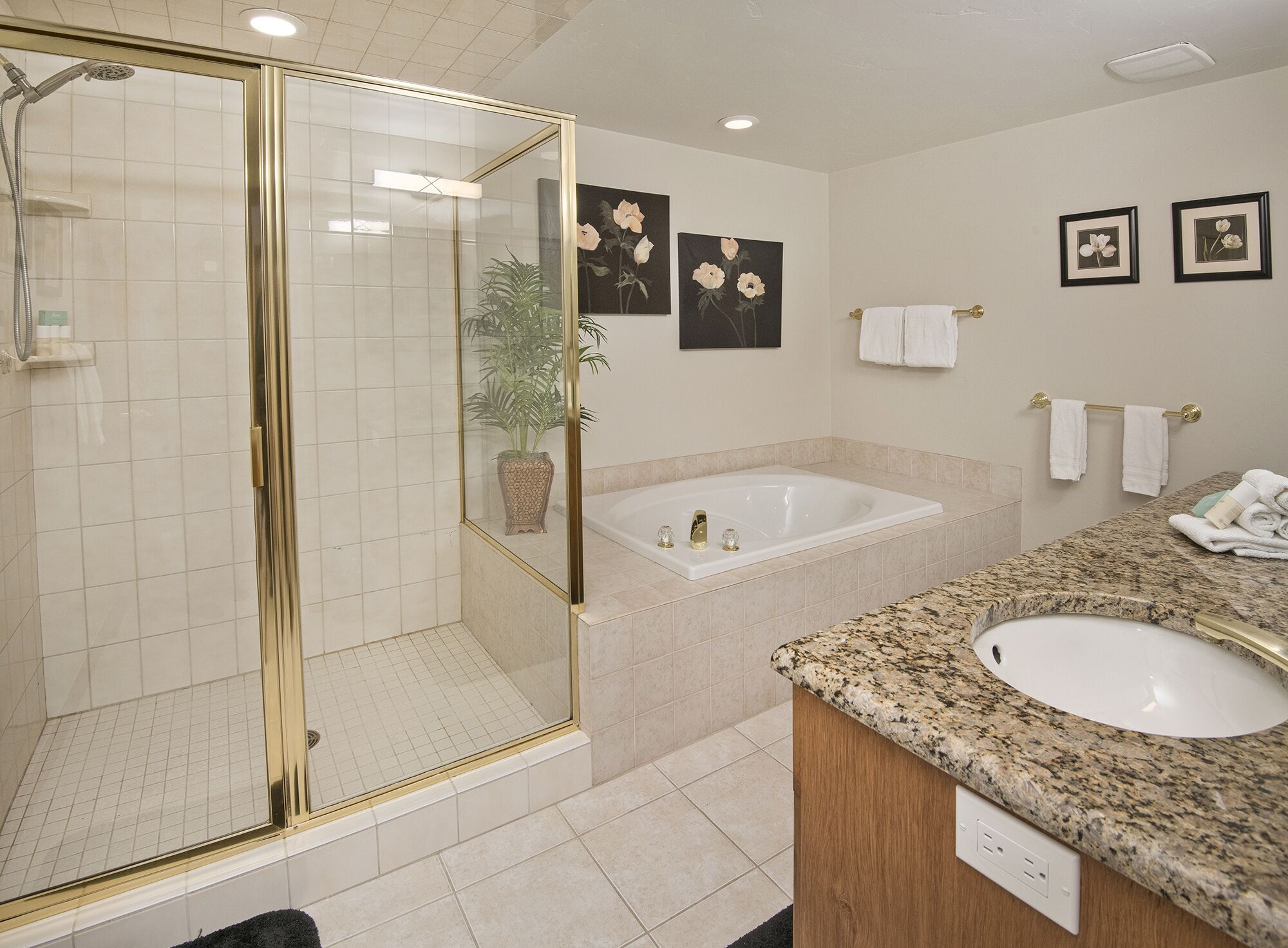 Combined shower/bathtub, jetted bath, hair dryer, towels