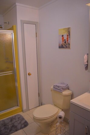 Combined shower/bathtub, hair dryer, towels, soap