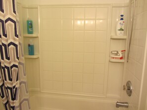 Combined shower/bathtub, hair dryer, towels, soap - The Chosen One - no animal-  allergies  (Federal Way)