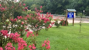 A sign for Lakeside Cabins RV Lodging with a grassy area and pink flowering bushes. - Waterfront Cabin #1, Onalaska, Lake Livingston, Texas (Onalaska)