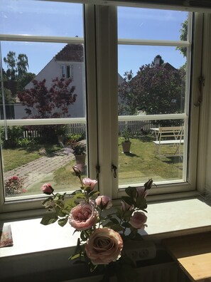 Basic Single Room, Shared Bathroom | View from room