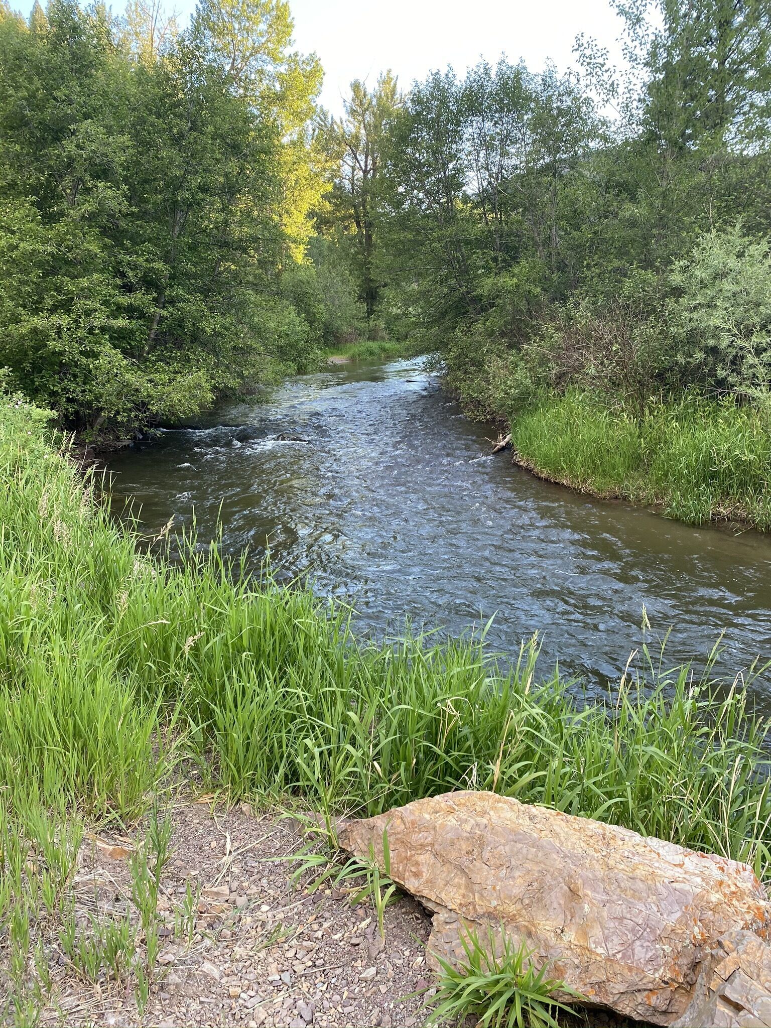 A river flowing through a wooded area with dense greenery and a large rock in the foreground.