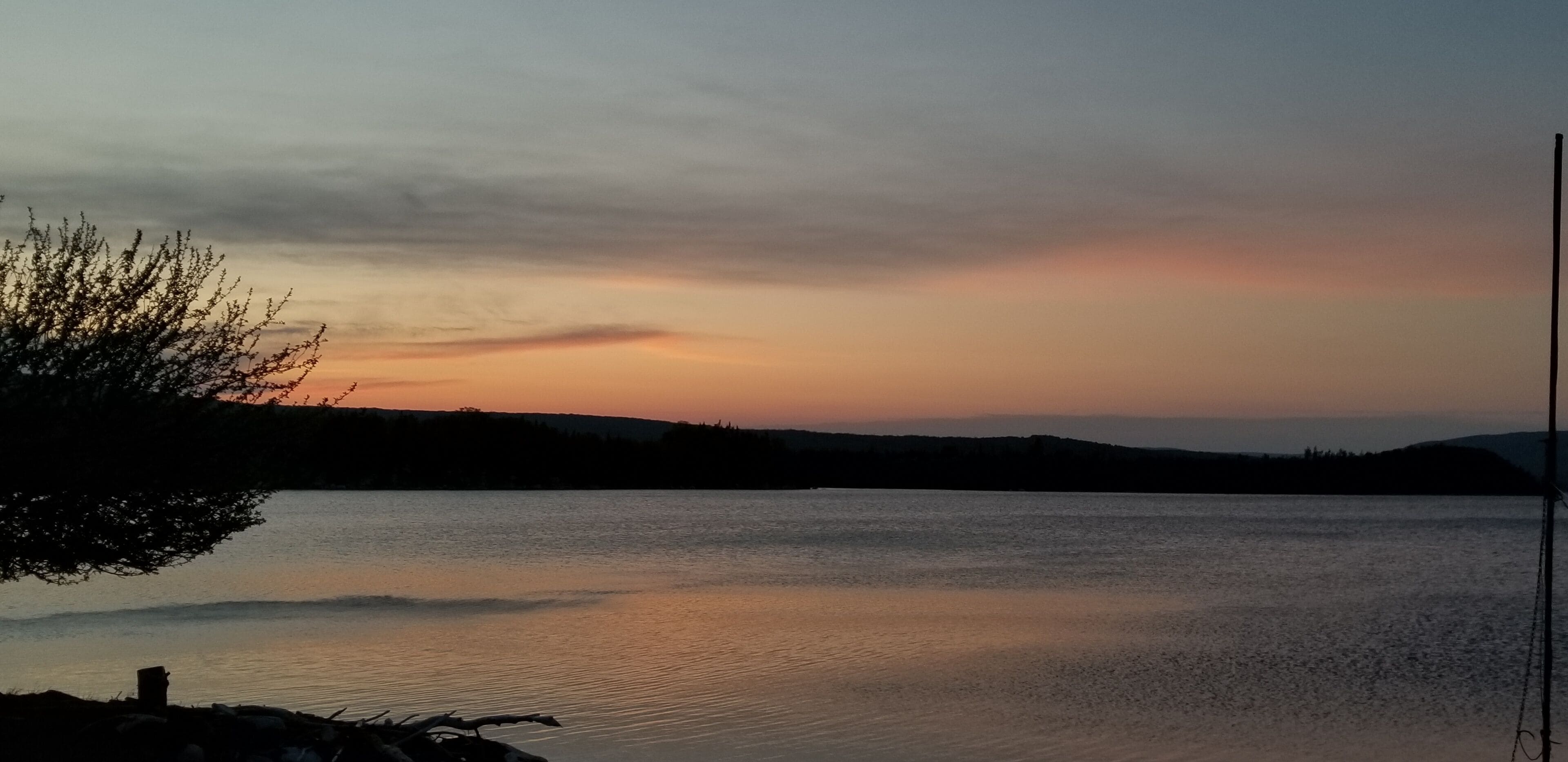 Eksteriør