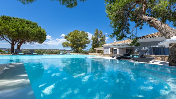 Une piscine d’un bleu éclatant, avec des chaises longues et un arbre en arrière-plan.
