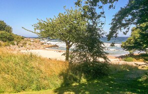 Enjoy the serene beach with gentle waves and a natural canopy provided by a prominent tree.
