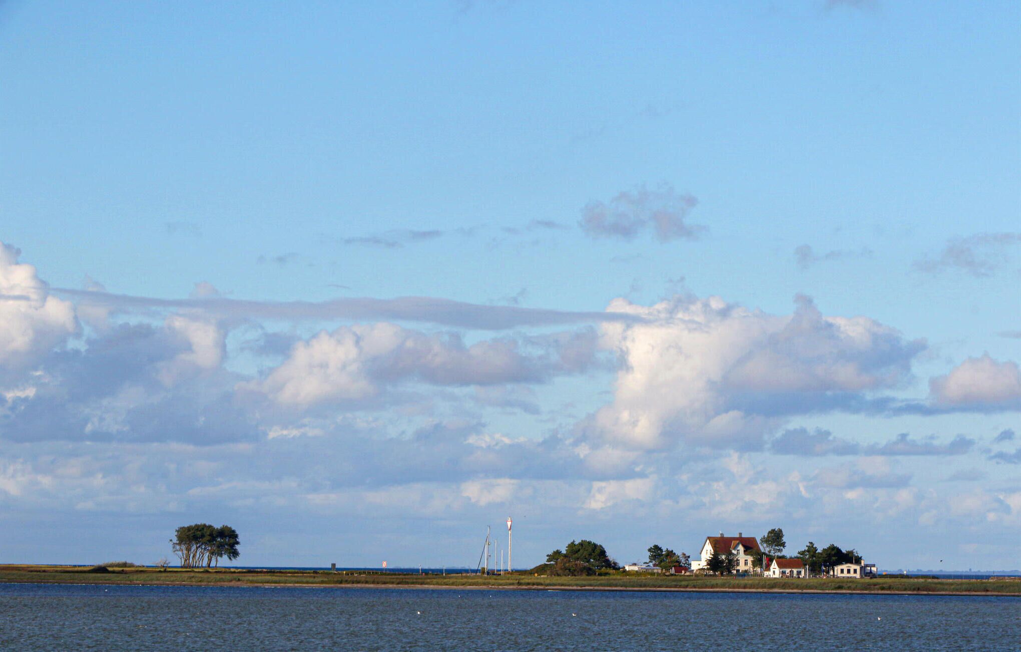 Un paysage côtier avec une maison, des arbres et un phare.