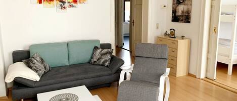 Televisor, videojocs, reproductor de DVD i llibres