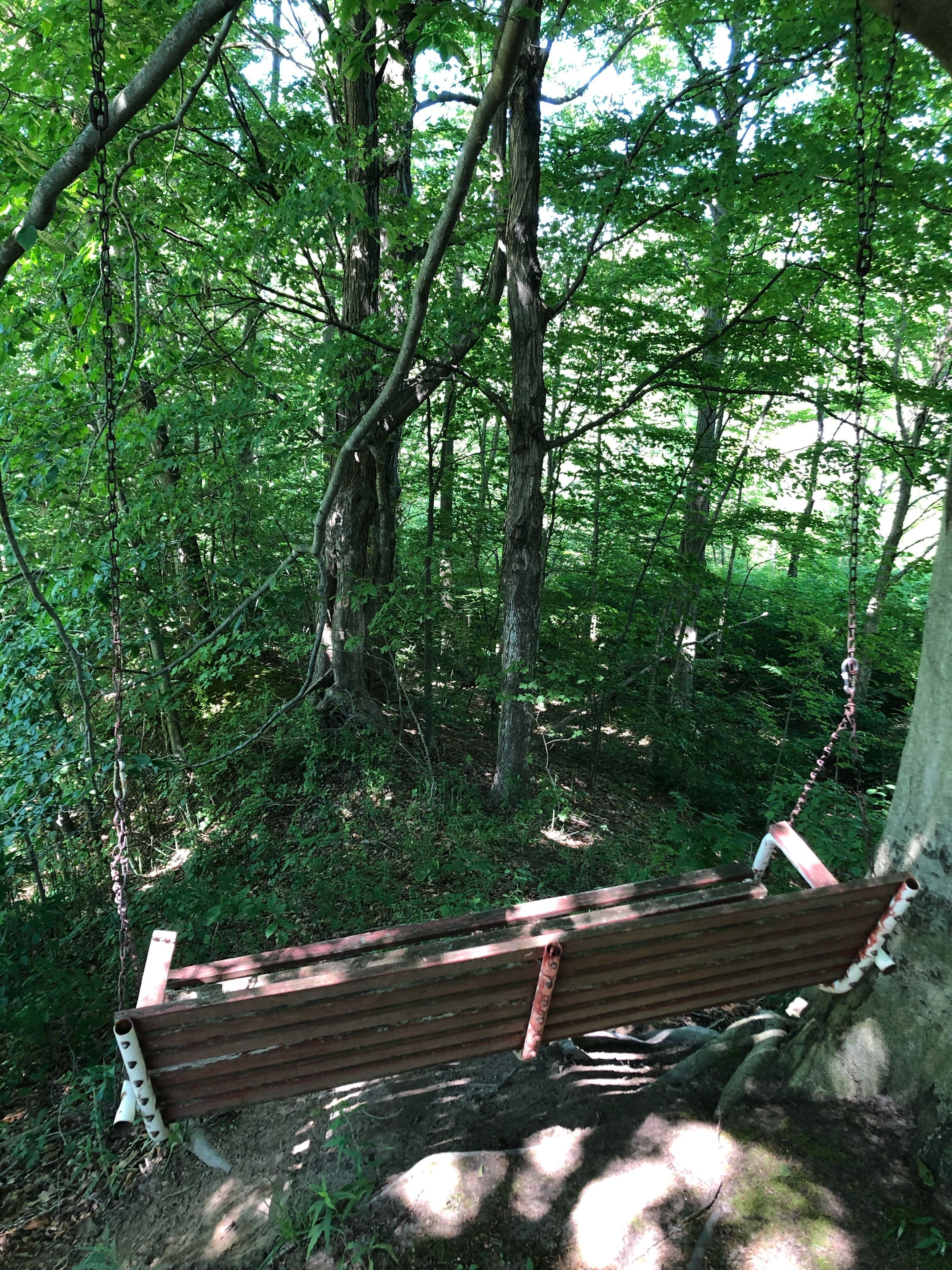 A wooden bench in a forested area with chains hanging from trees.