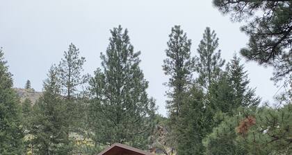 Log cabin in the bitterroot mountains