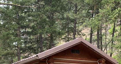 Log cabin in the bitterroot mountains