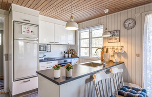 Kühlschrank, Herdplatte, Geschirrspüler