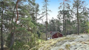 A cabin surrounded by dense forest and mossy terrain.