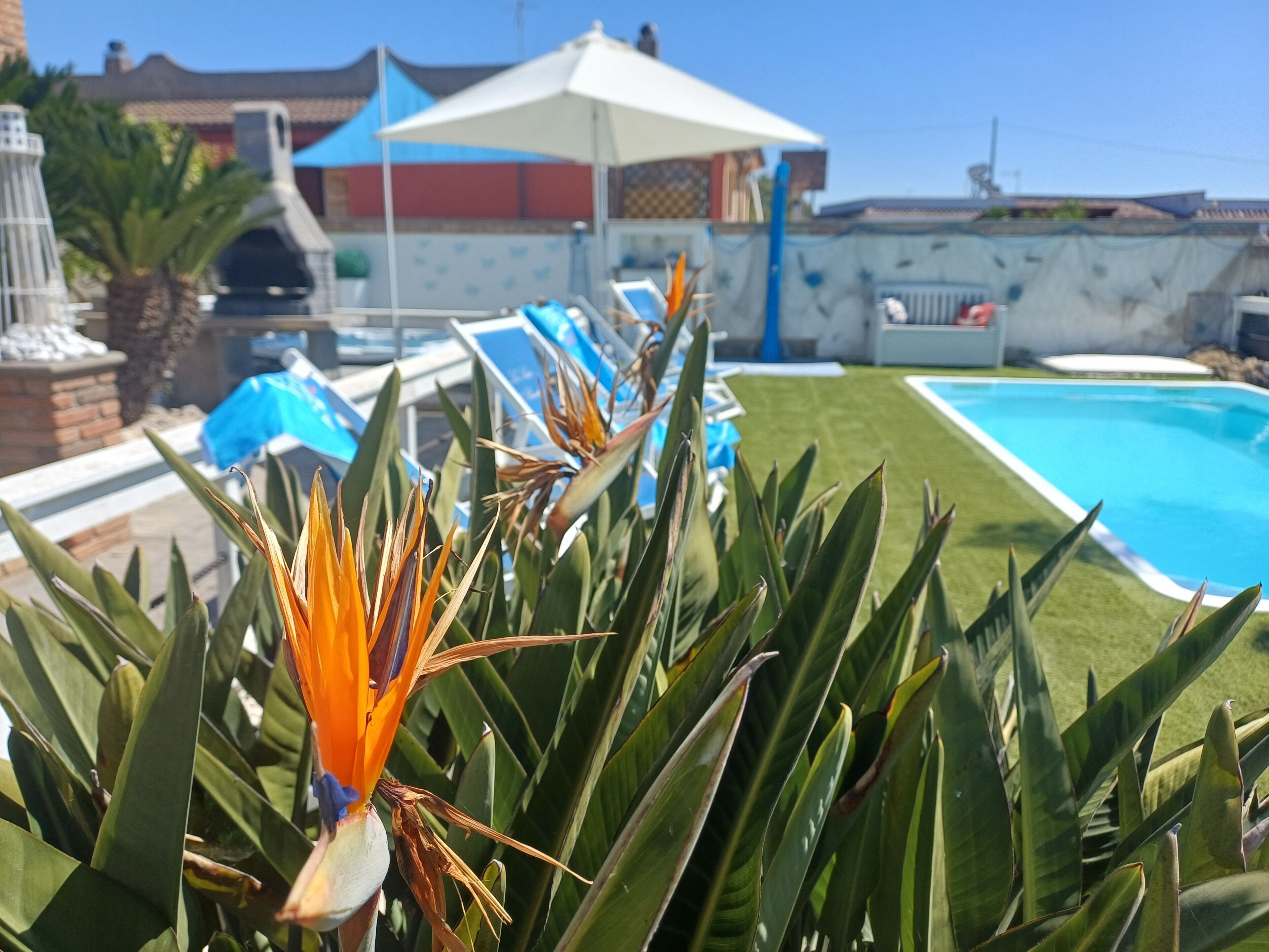 Outdoor pool