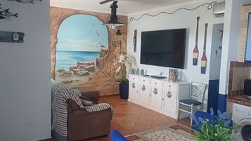Smart TV, DVD player, books, video library