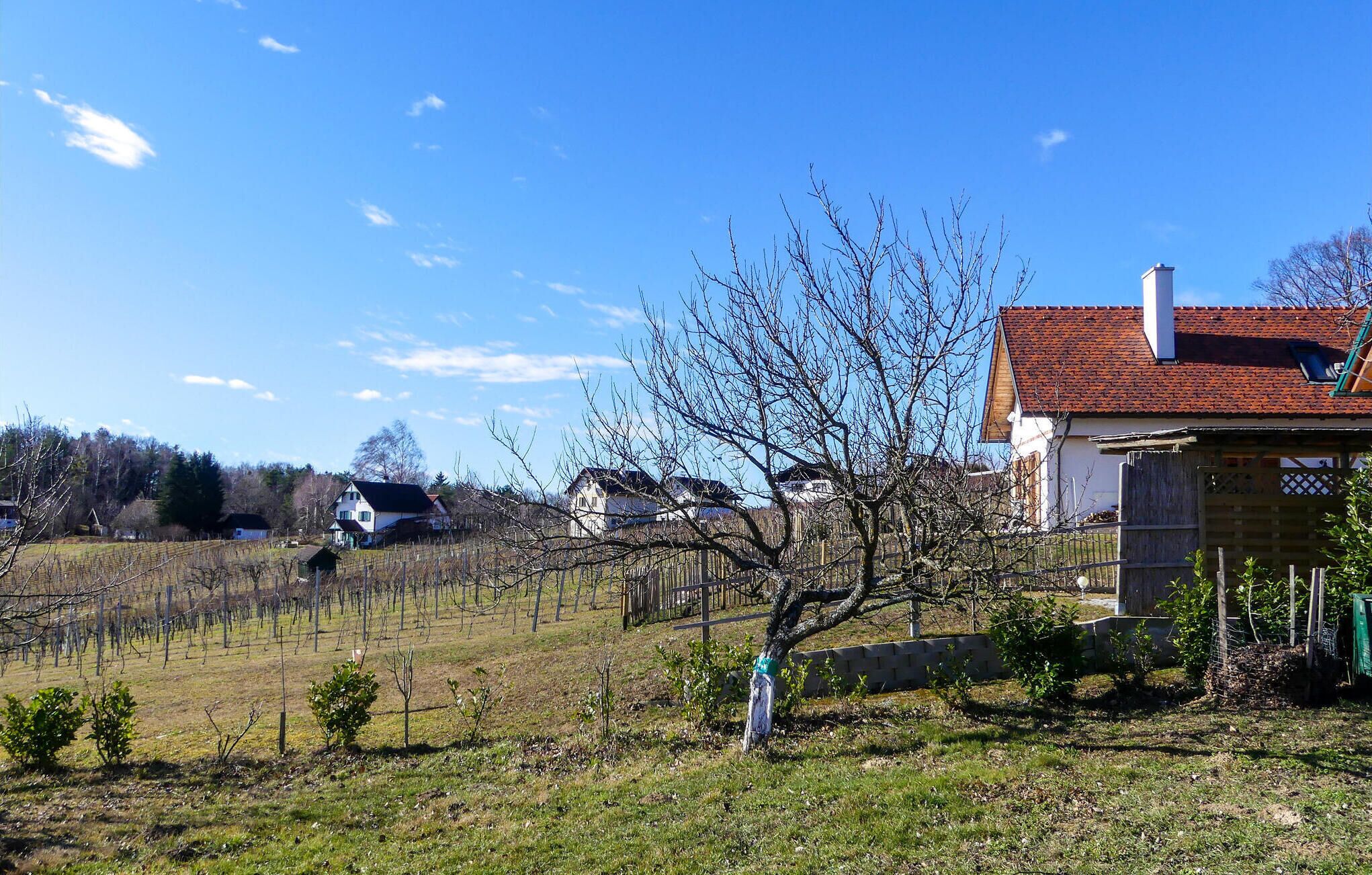 Área da propriedade