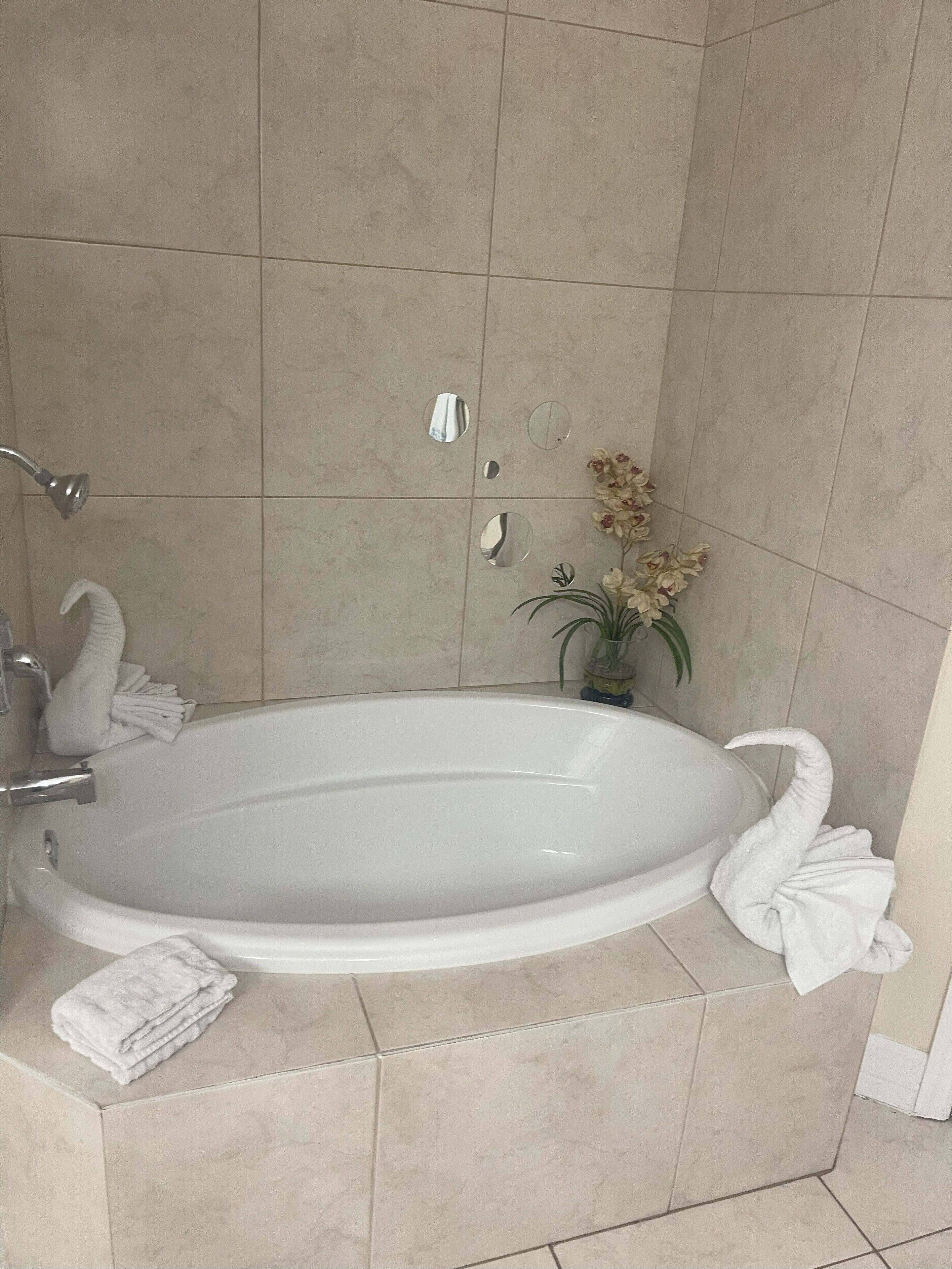 Une salle de bain avec une baignoire, un porte-serviettes et une petite plante en pot.