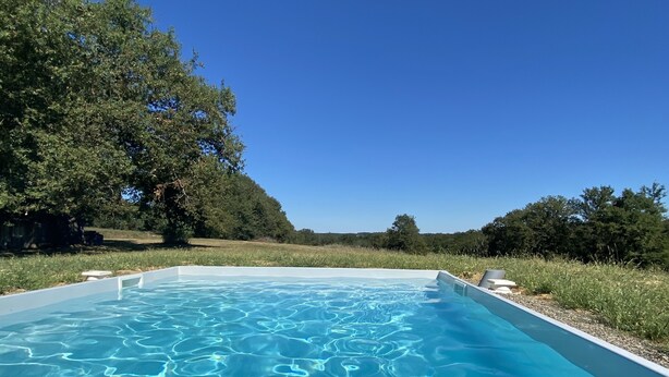 Une piscine rectangulaire à l’eau d’un bleu limpide, entourée de pelouse et d’arbres, sous un ciel bleu dégagé.