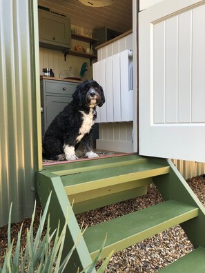 Exterior - Stylish shepherd's hut, 10 mins walk from beach and village (Milford on Sea)